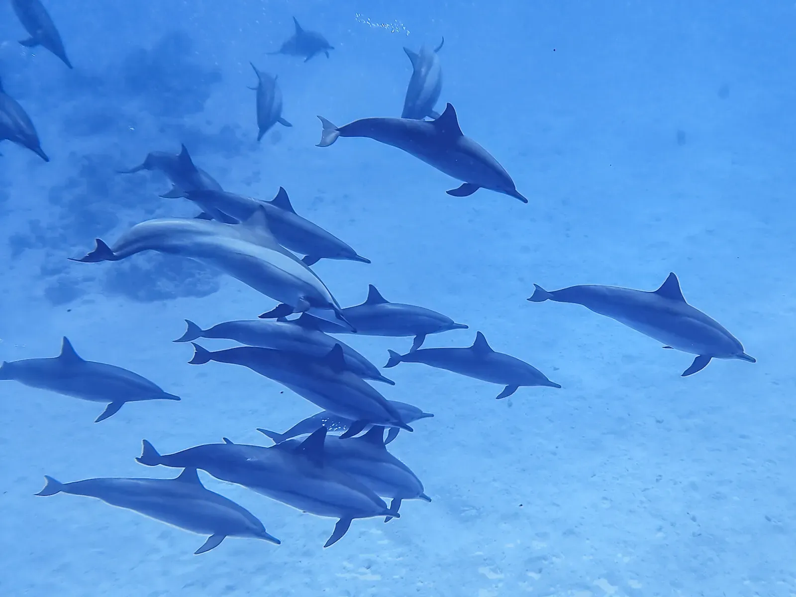 Египет, май 2021