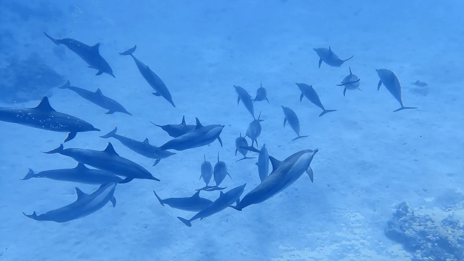 Египет, май 2021