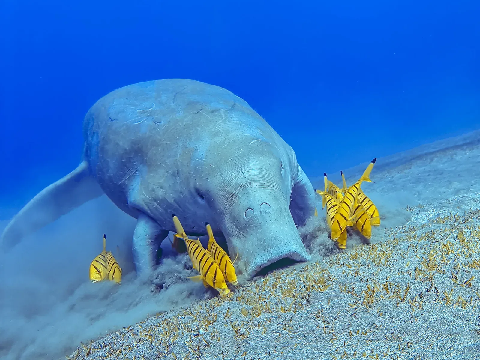 Египет, май 2021