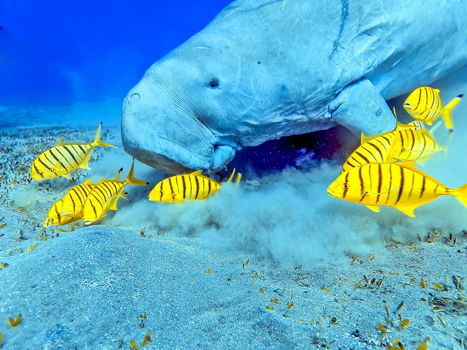 Египет, май 2021