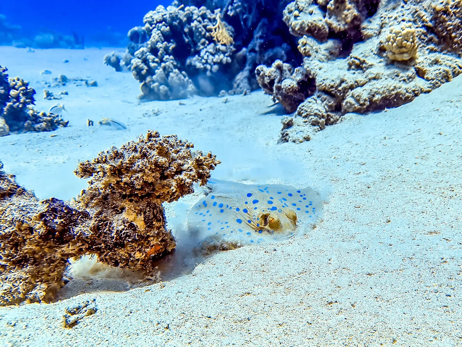 Египет, май 2021