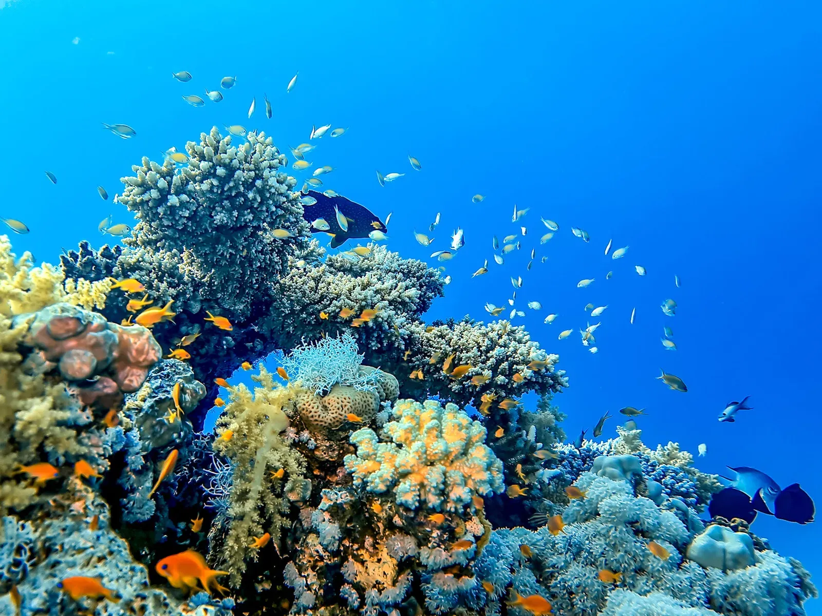 Египет, май 2021