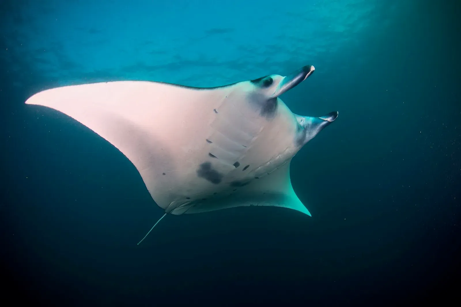 Индонезия, май 2024