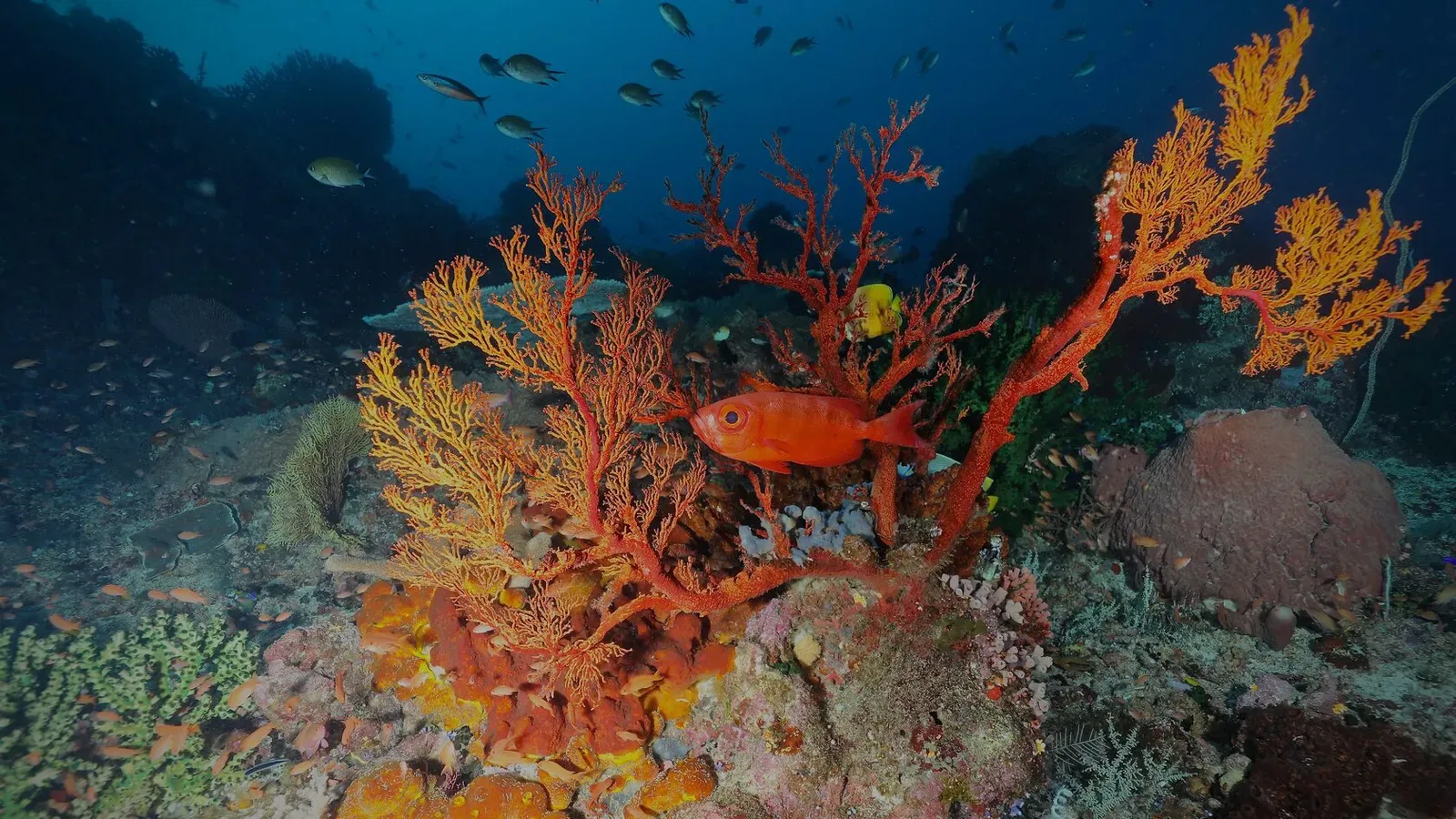 Индонезия, май 2024