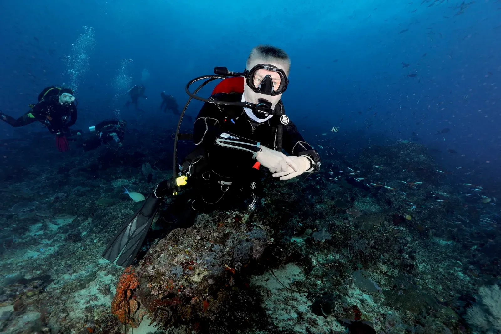 Индонезия, май 2024