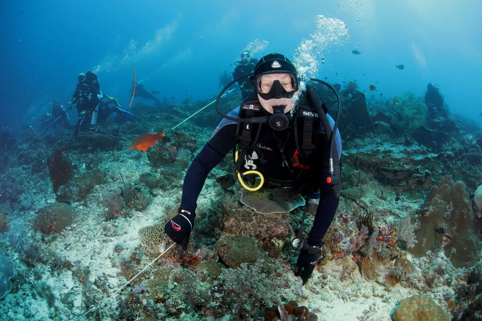 Индонезия, май 2024