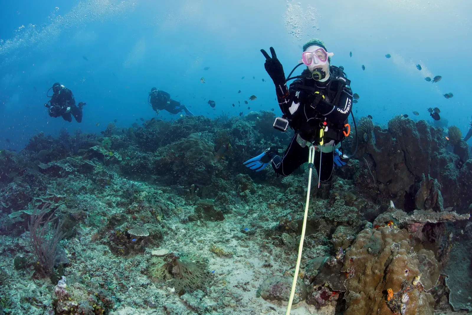 Индонезия, май 2024