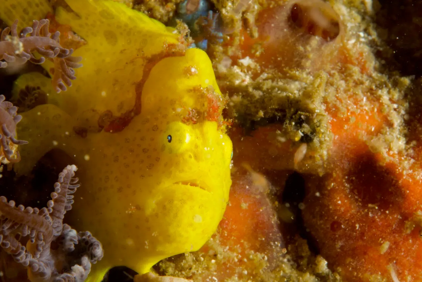 Индонезия, май 2024