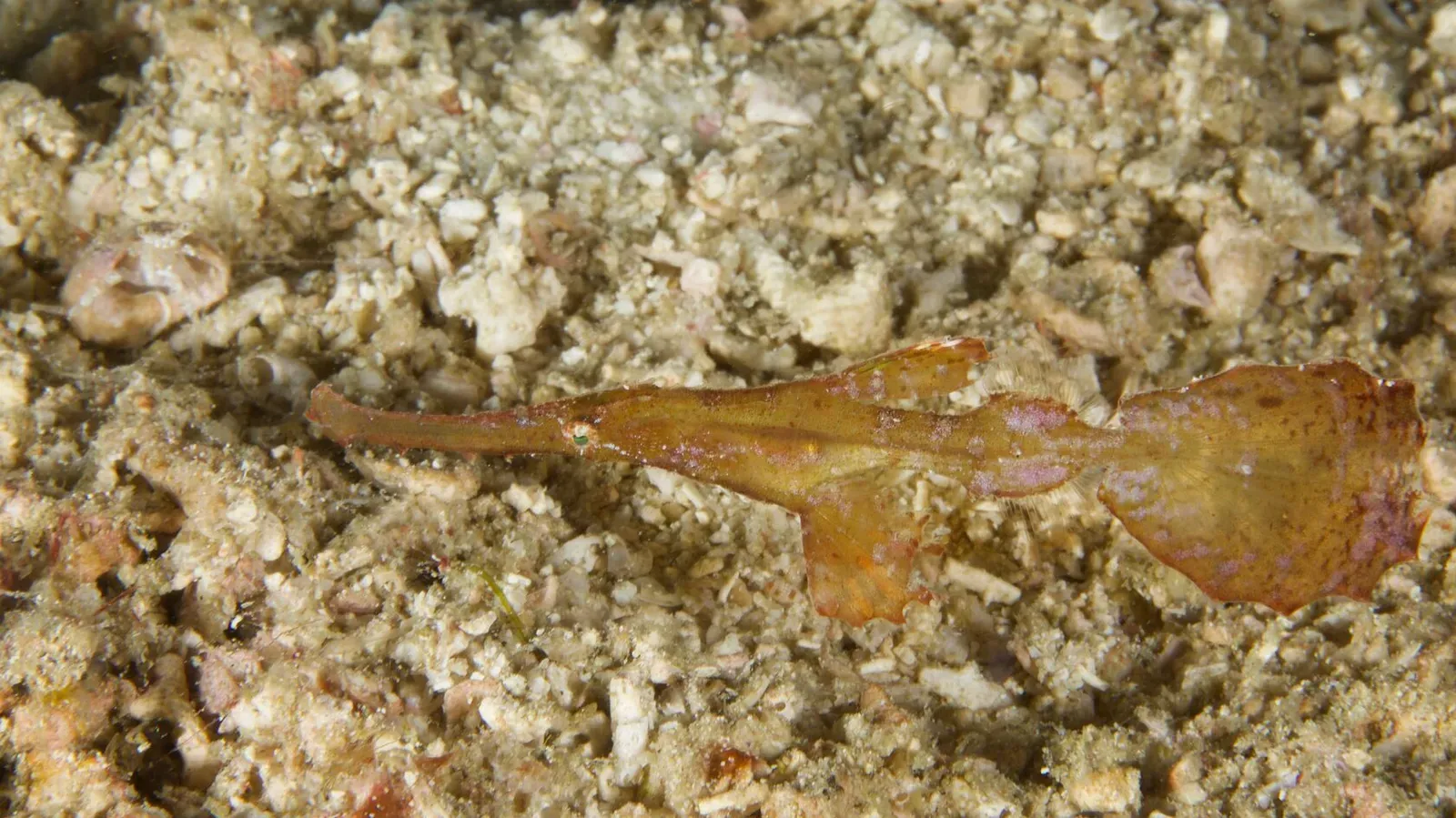 Индонезия, май 2024