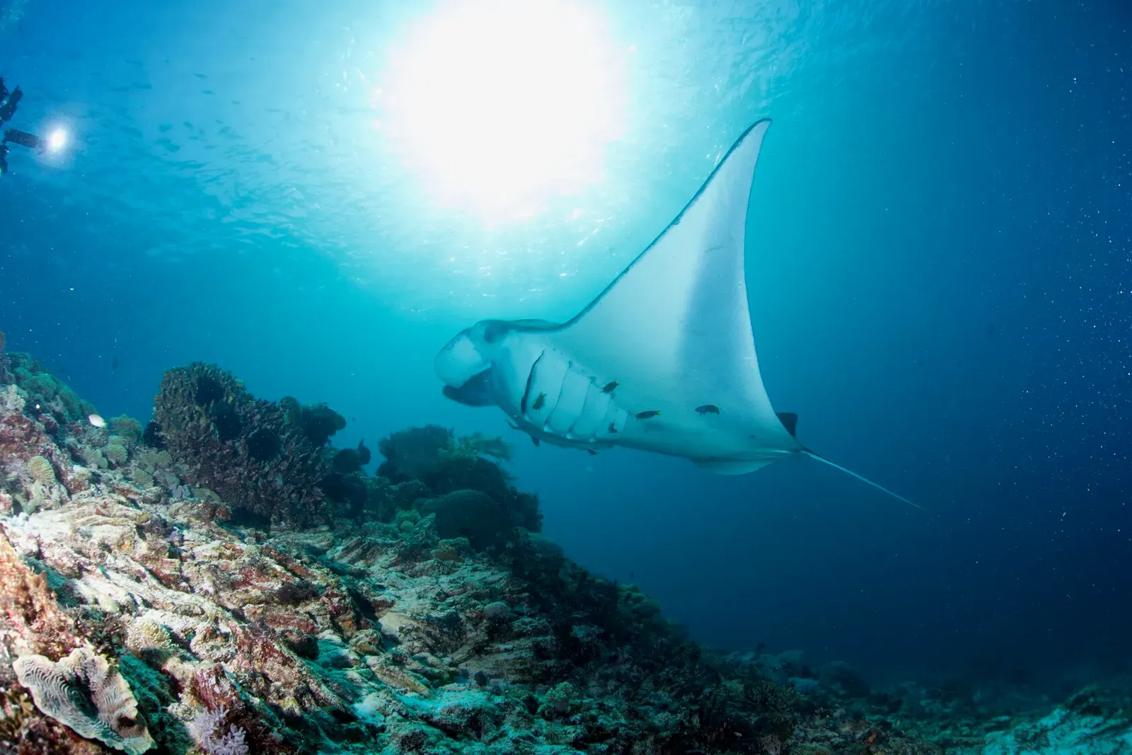 Индонезия, май 2024