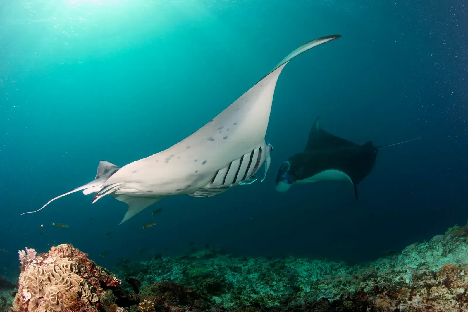 Индонезия, май 2024