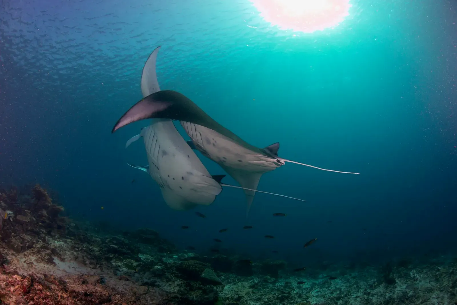 Индонезия, май 2024