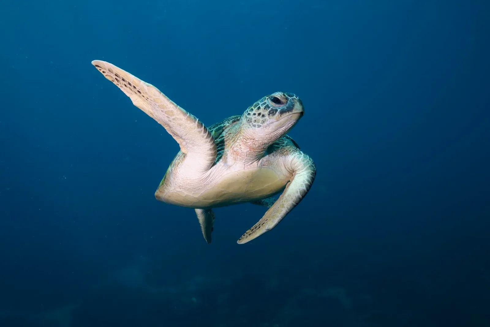 Индонезия, май 2024