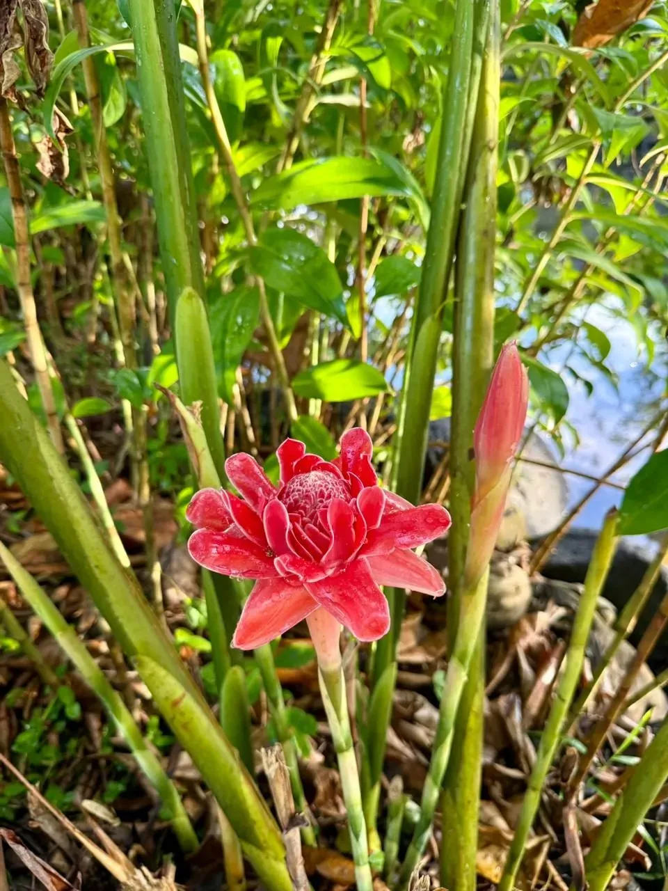 Индонезия, ноябрь 2025