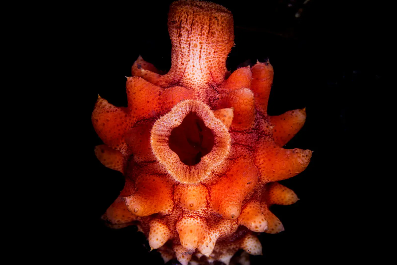 Японское море, сентябрь 2021