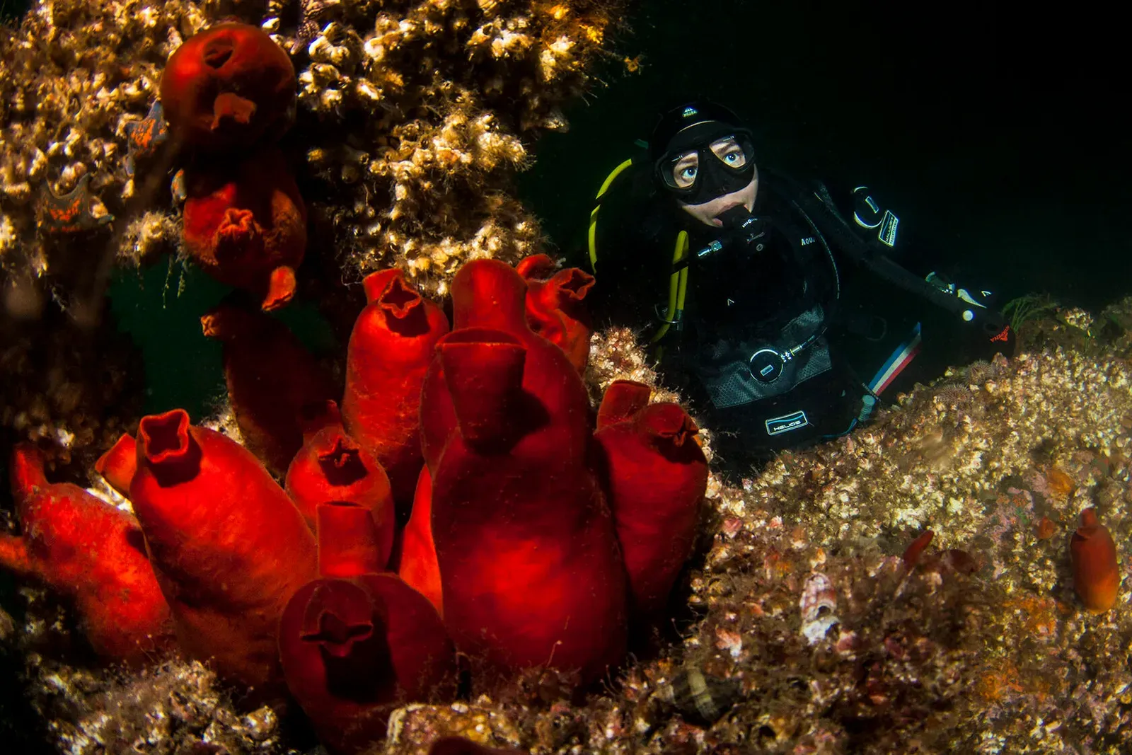 Японское море, сентябрь 2021