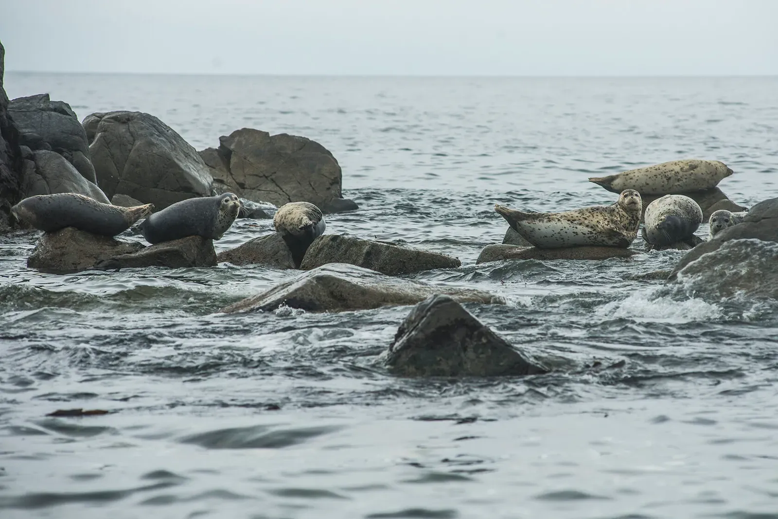 Японское море, сентябрь 2021