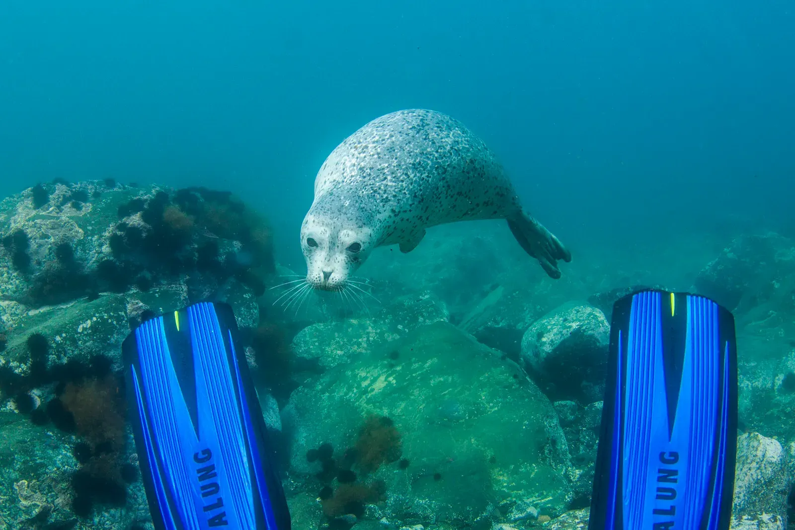 Японское море, сентябрь 2021