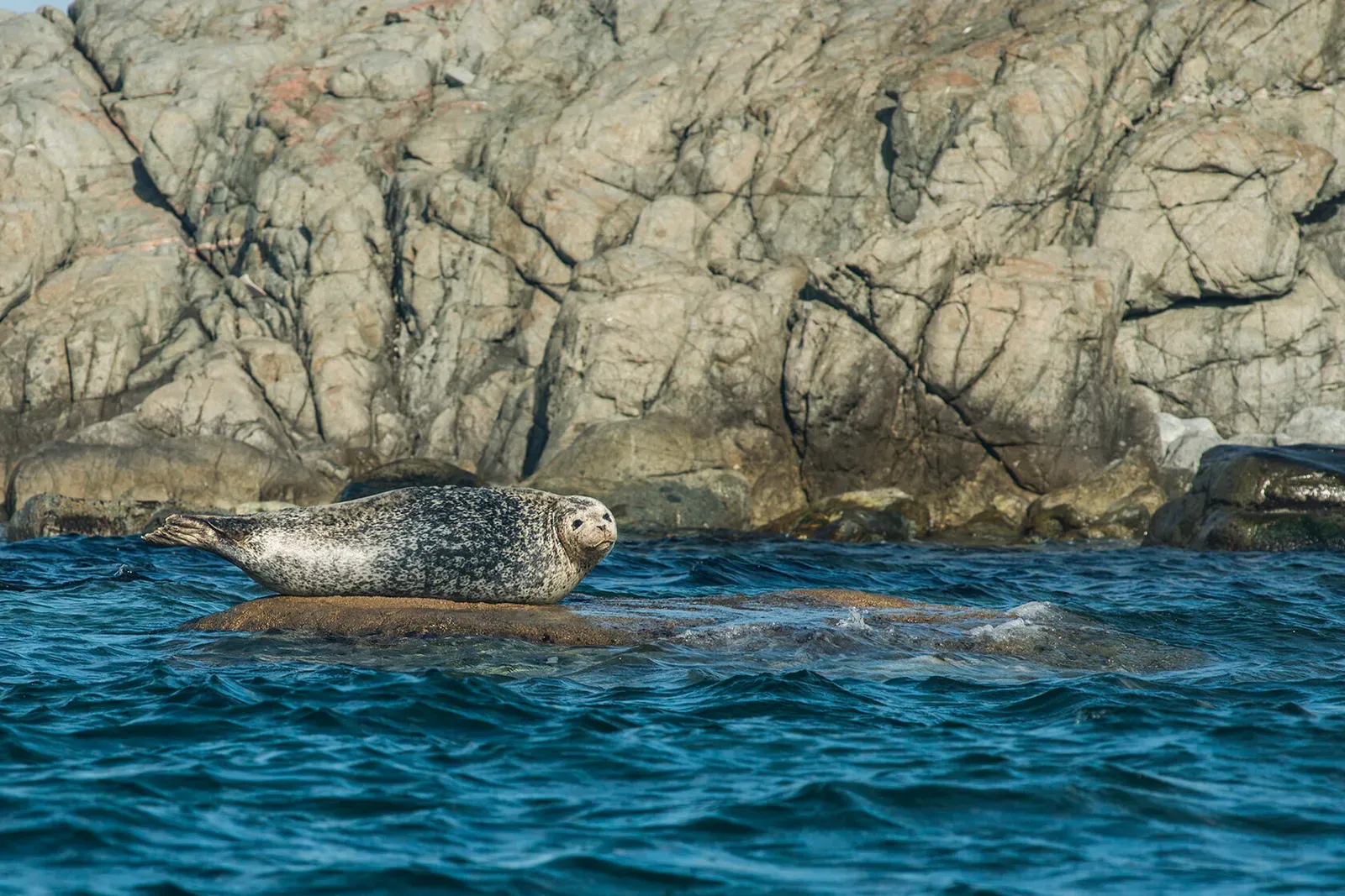 Японское море, сентябрь 2021