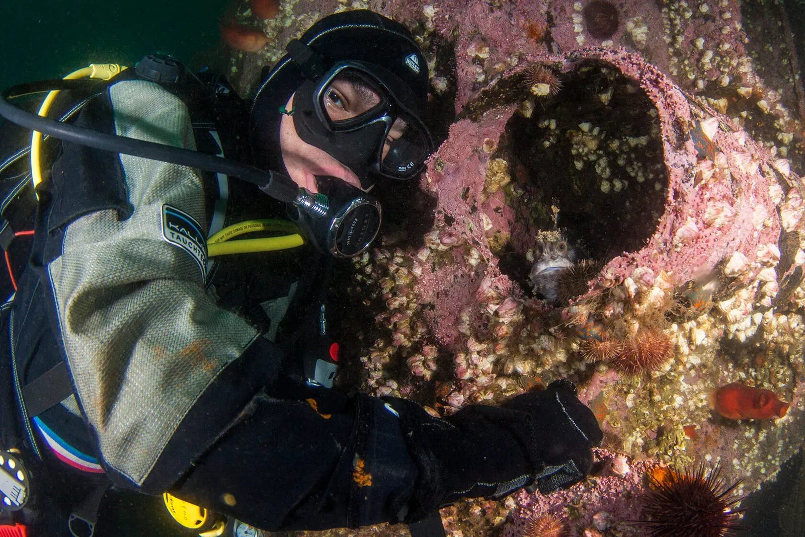 Японское море, сентябрь 2021