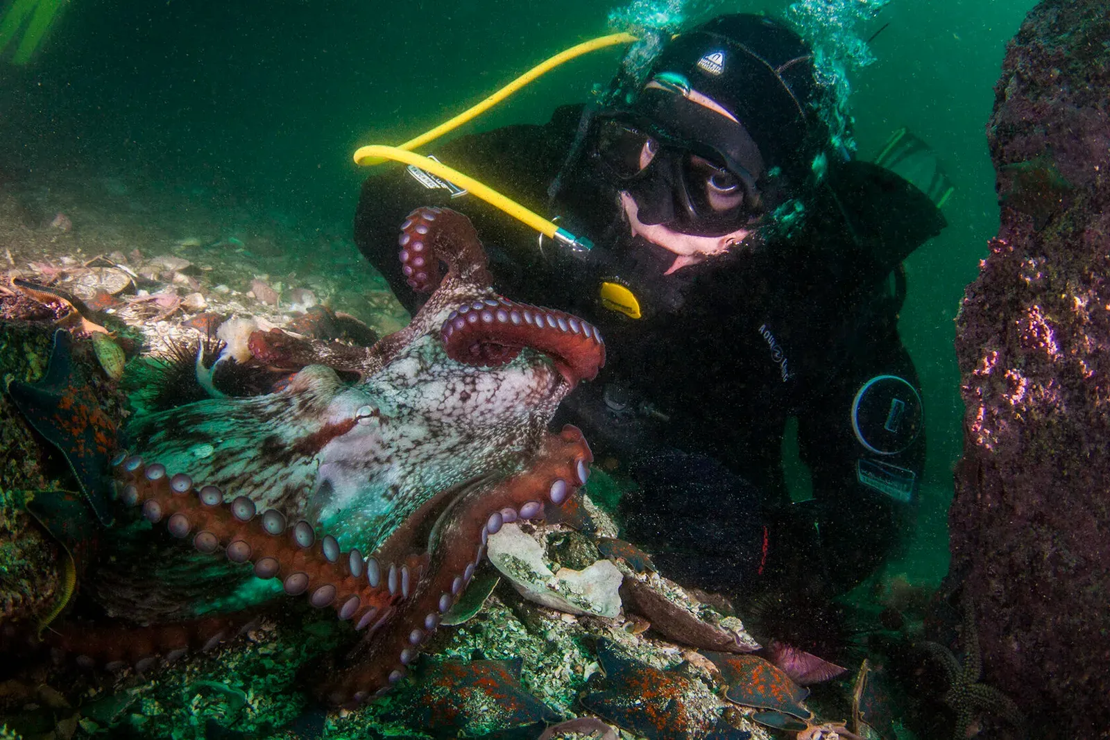 Японское море, сентябрь 2021