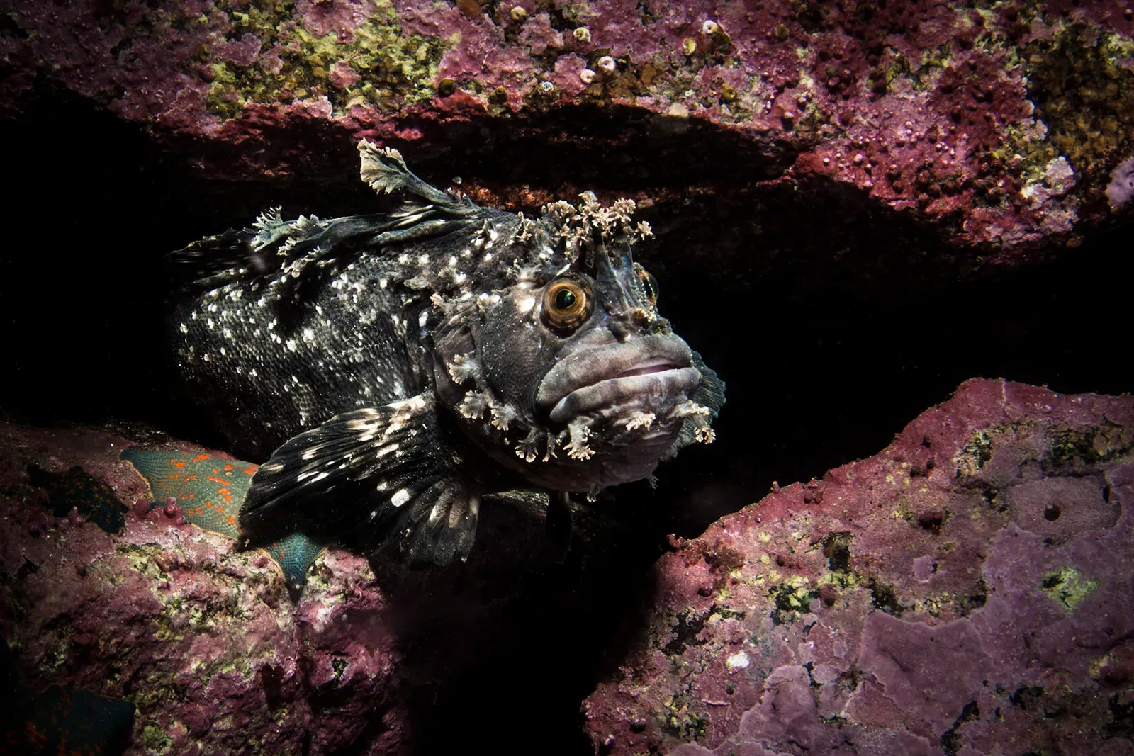 Японское море, сентябрь 2021