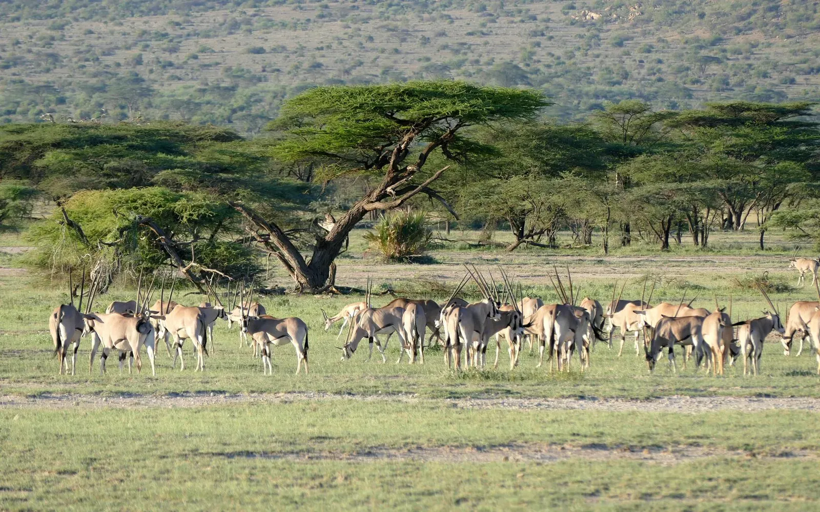 Кения, январь 2022