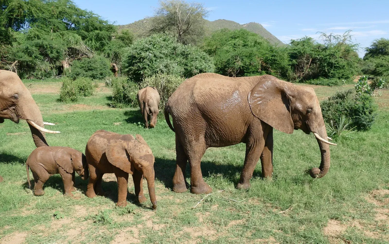 Кения, январь 2022