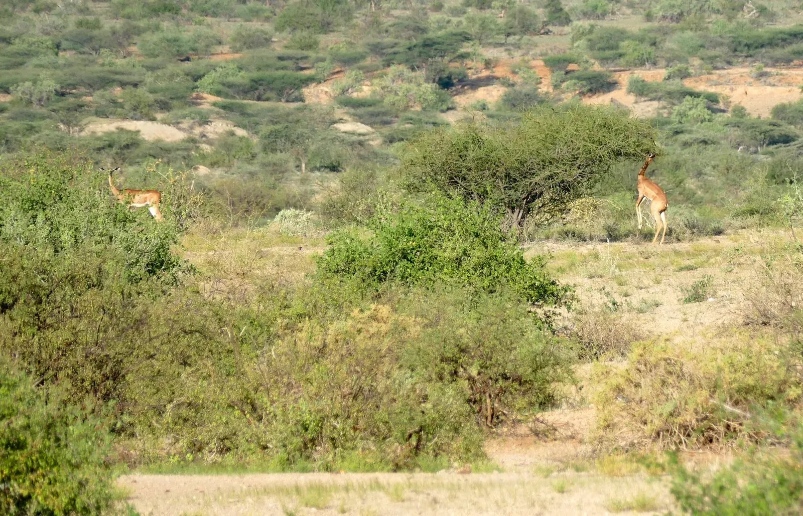 Кения, январь 2022