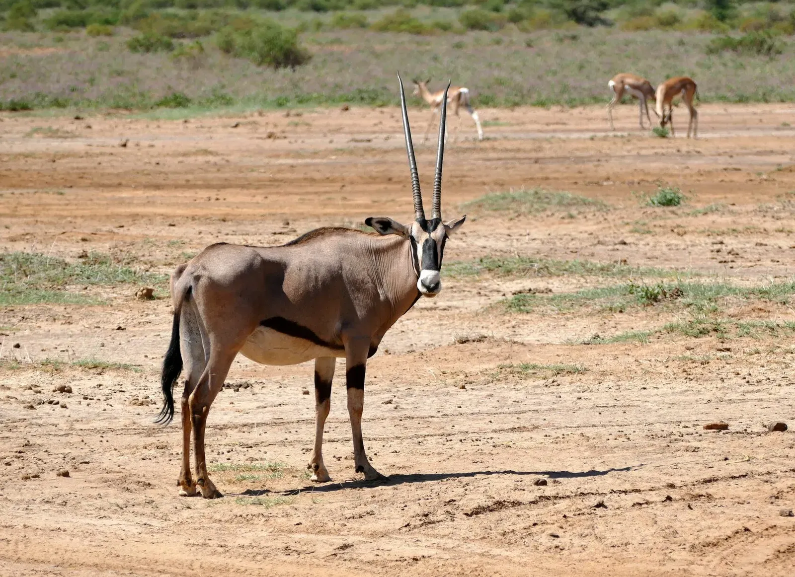 Кения, январь 2022