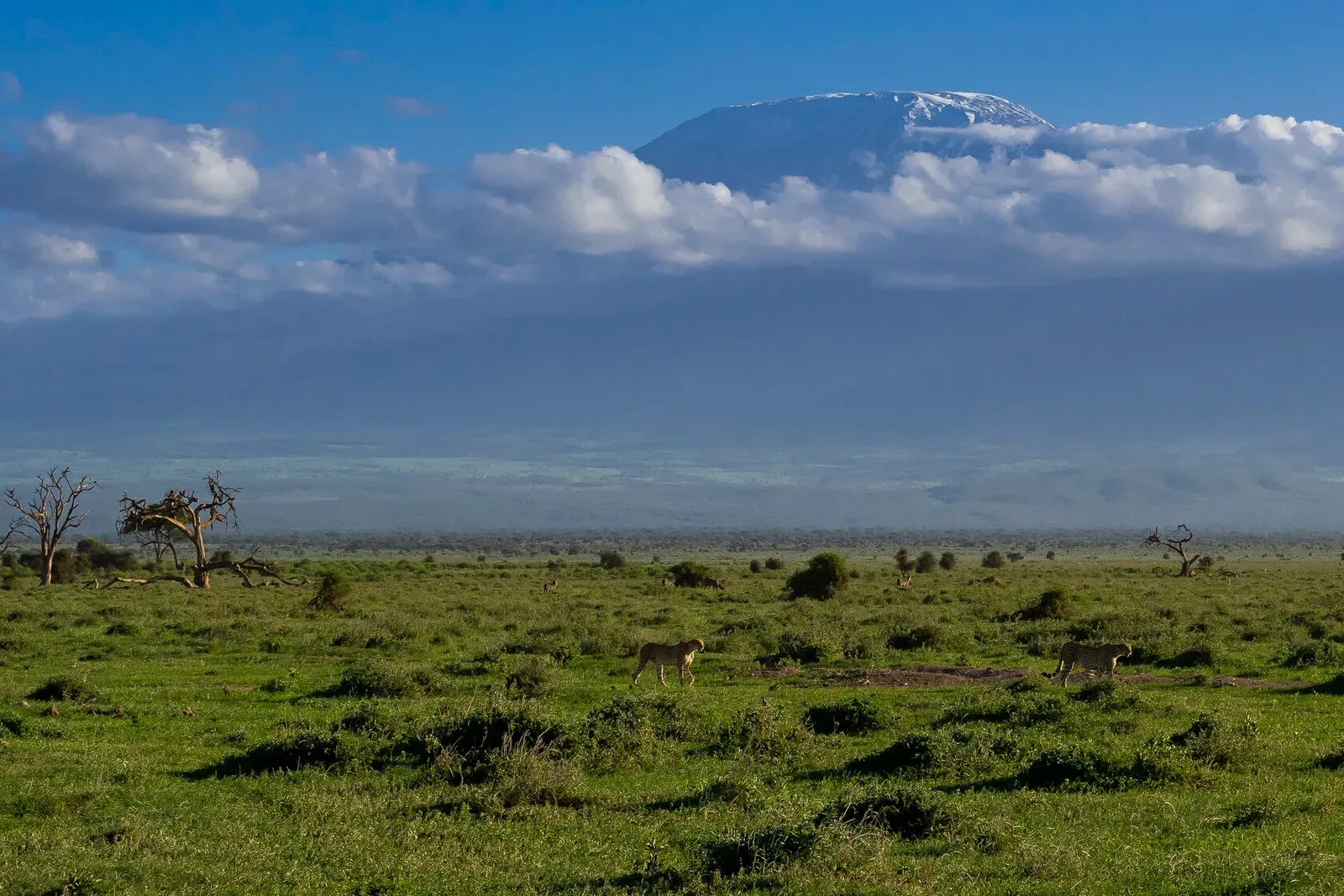 Кения, январь 2022