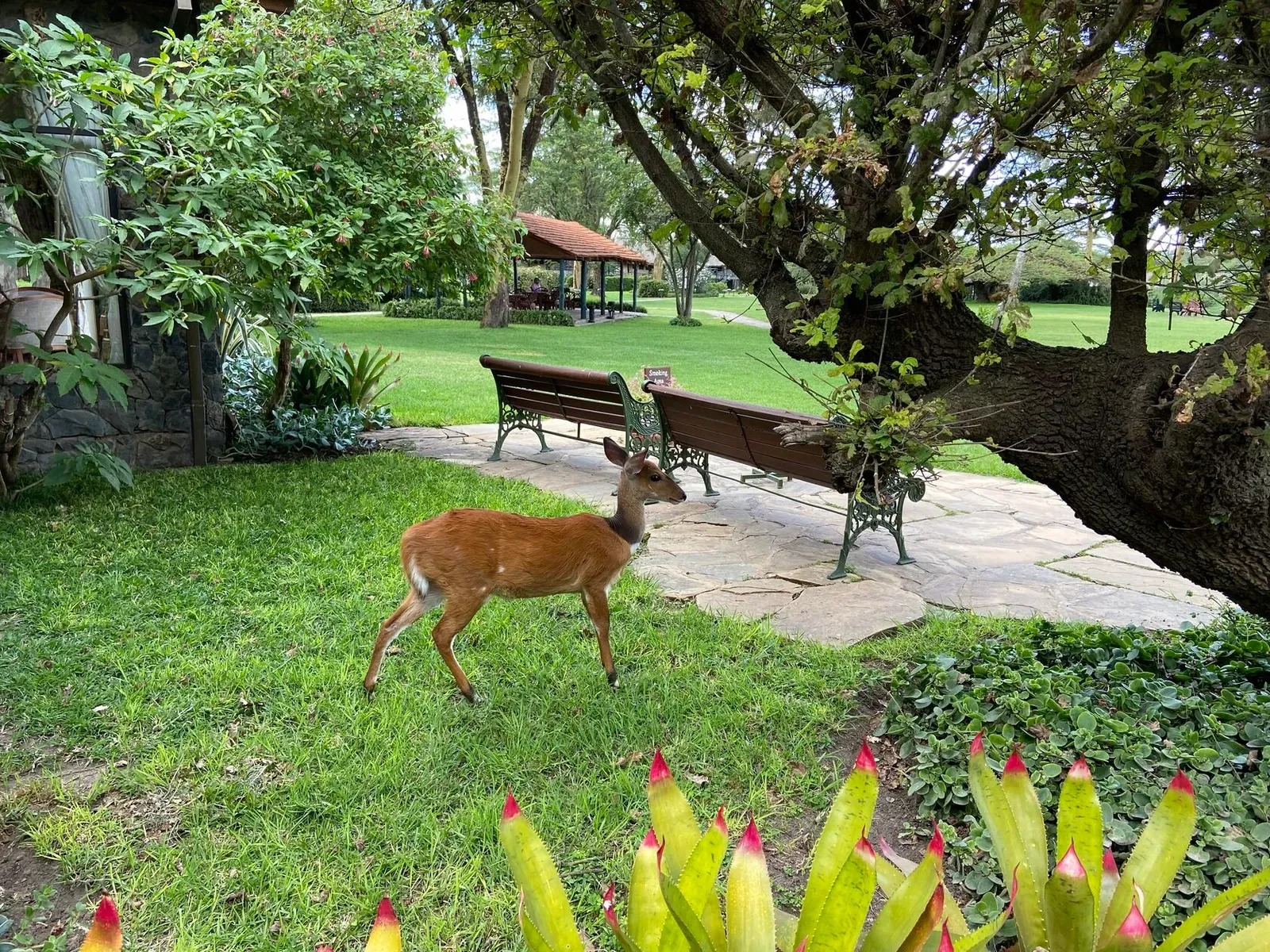 Кения, январь 2022