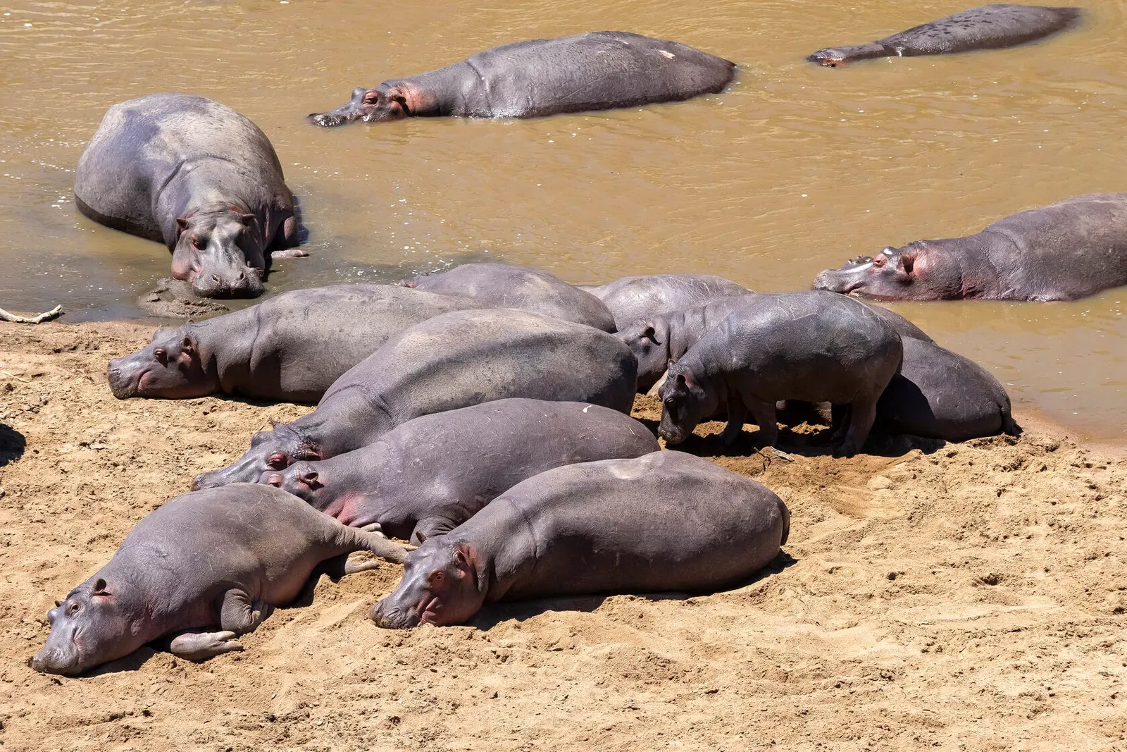 Кения, январь 2022