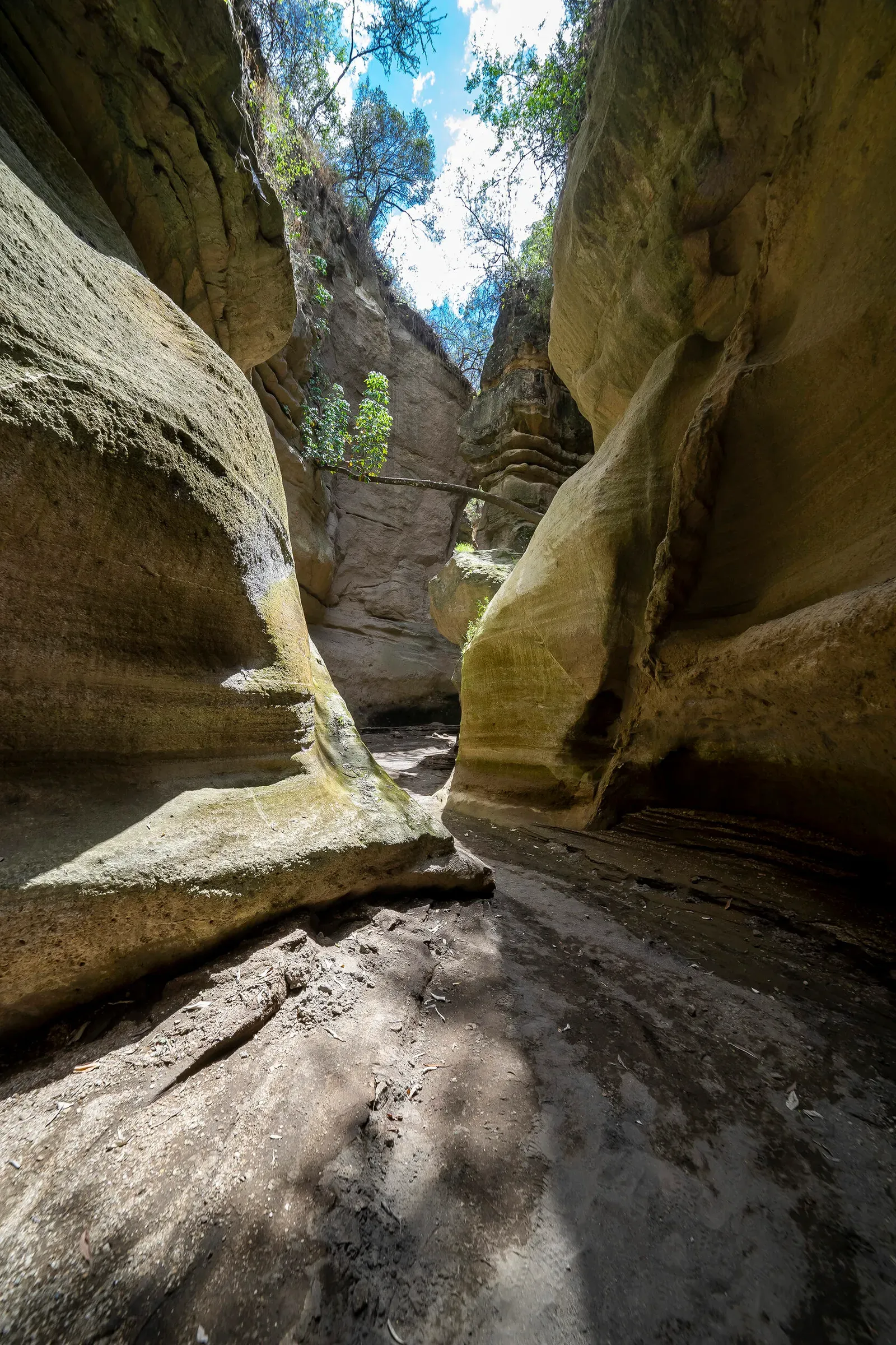 Кения, январь 2022