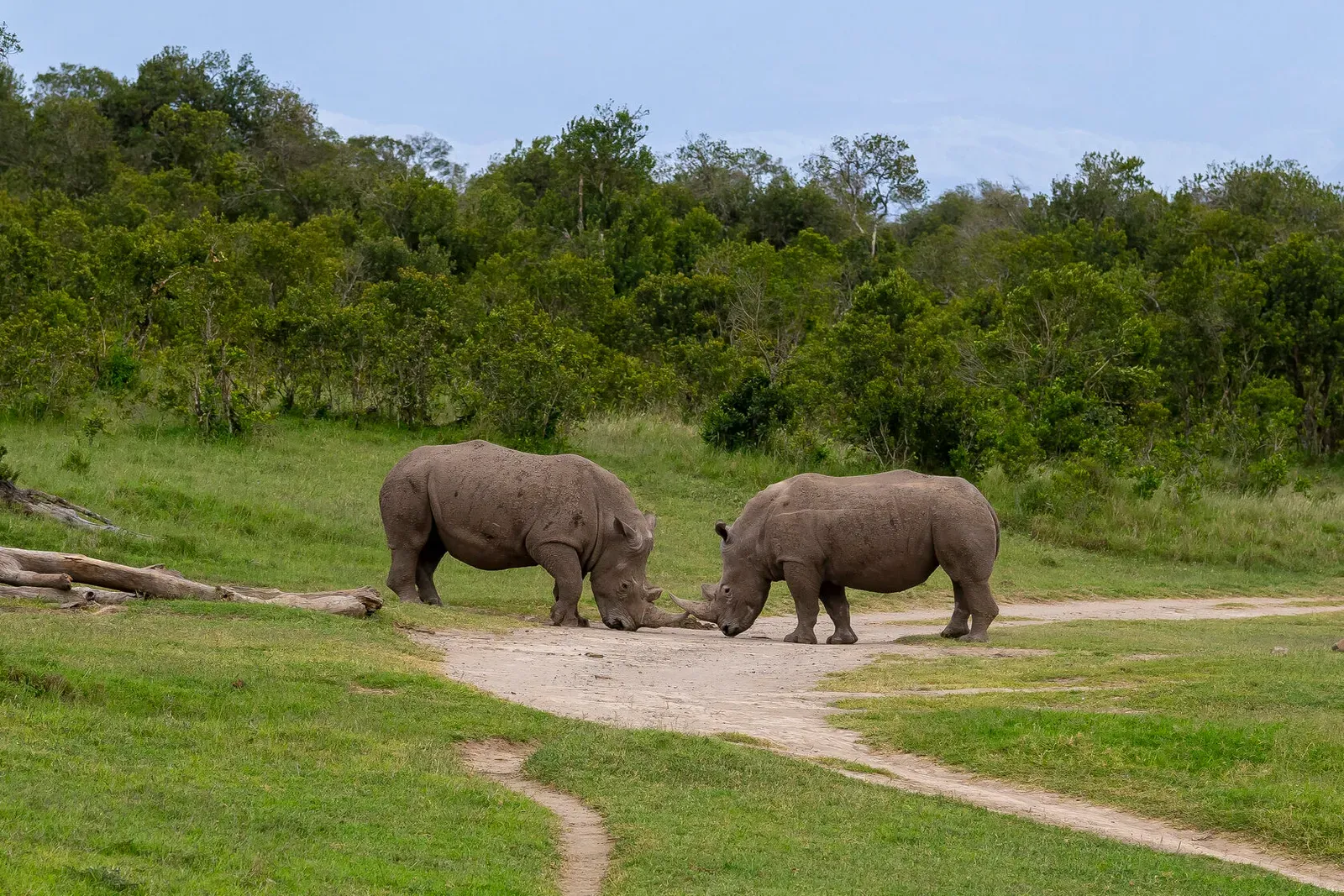 Кения, январь 2022