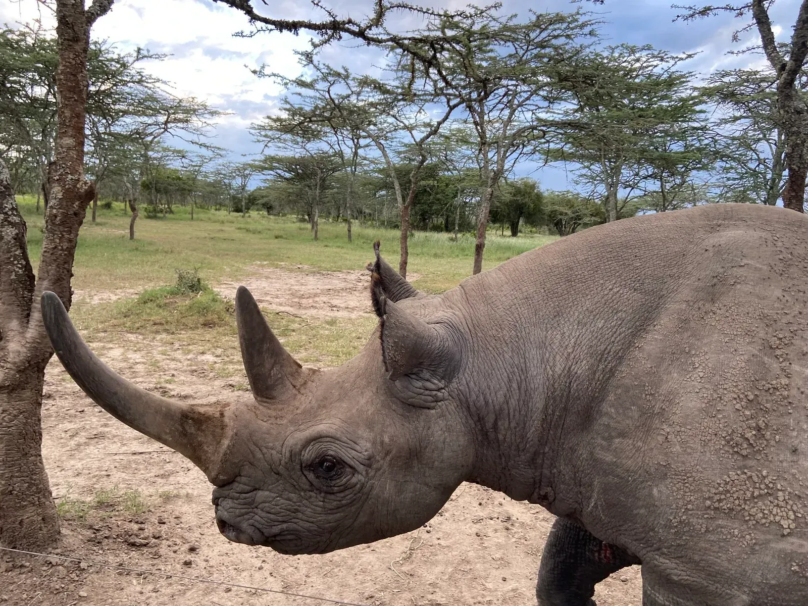 Кения, январь 2022