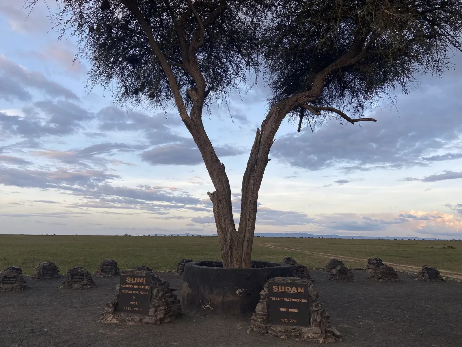 Кения, январь 2022