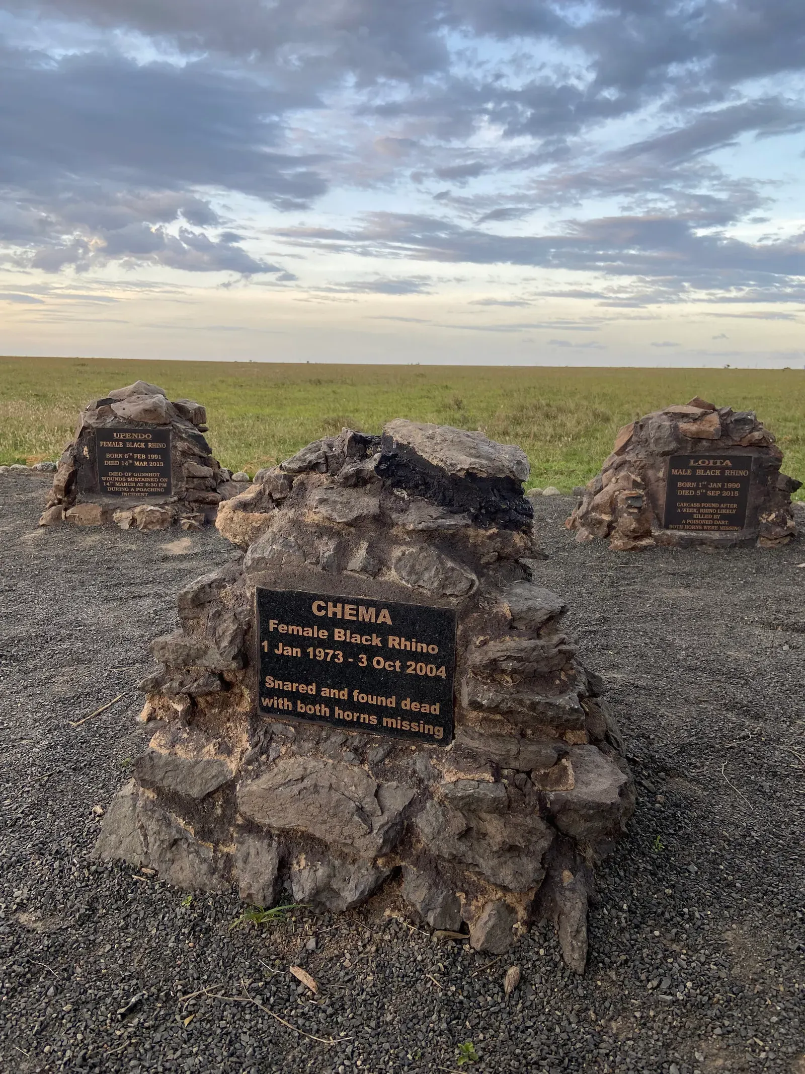 Кения, январь 2022