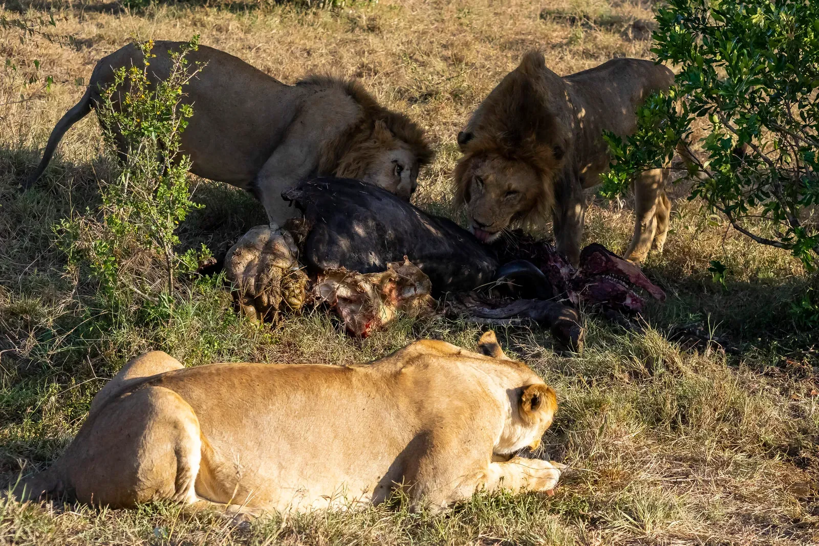 Кения, январь 2022