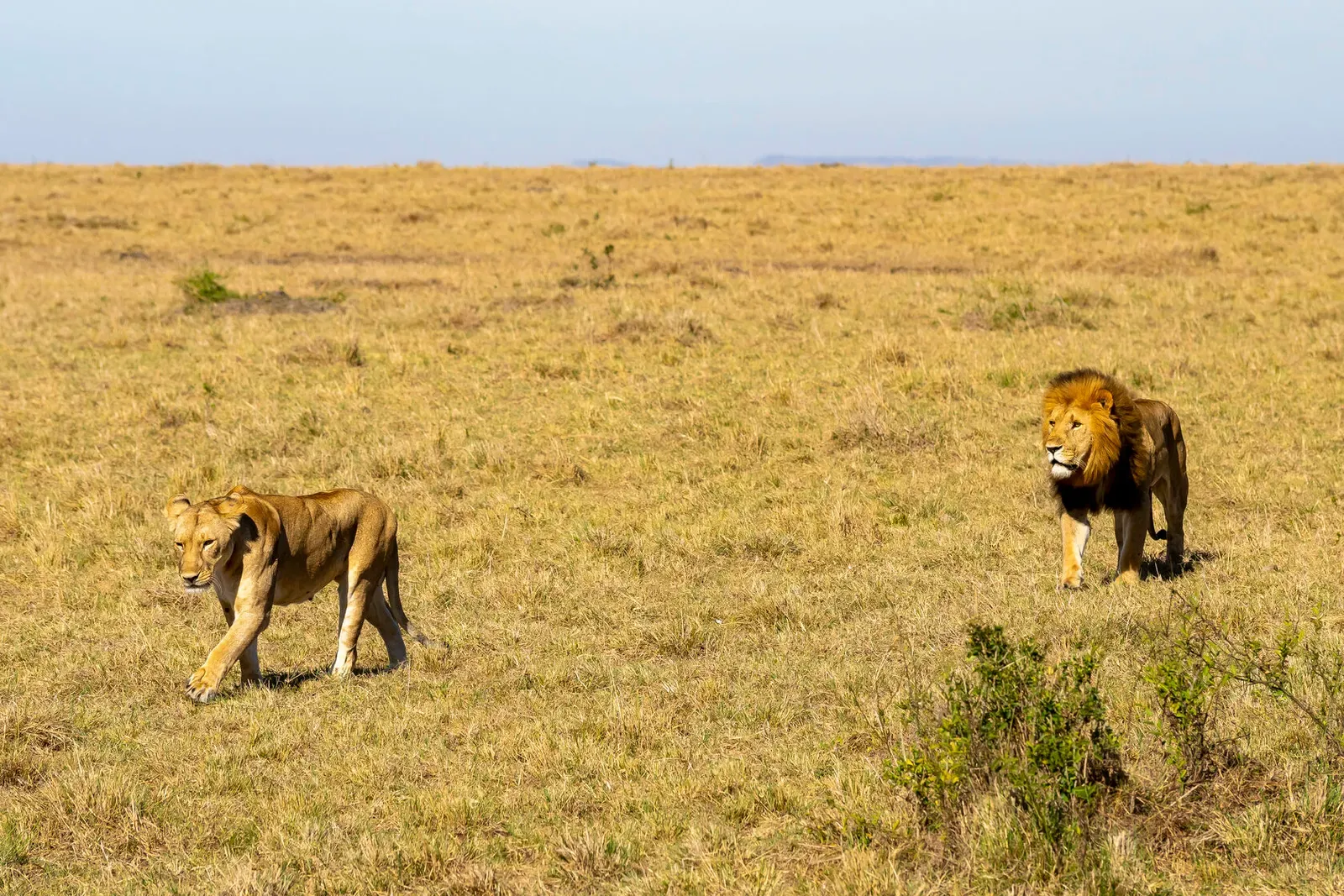 Кения, январь 2022