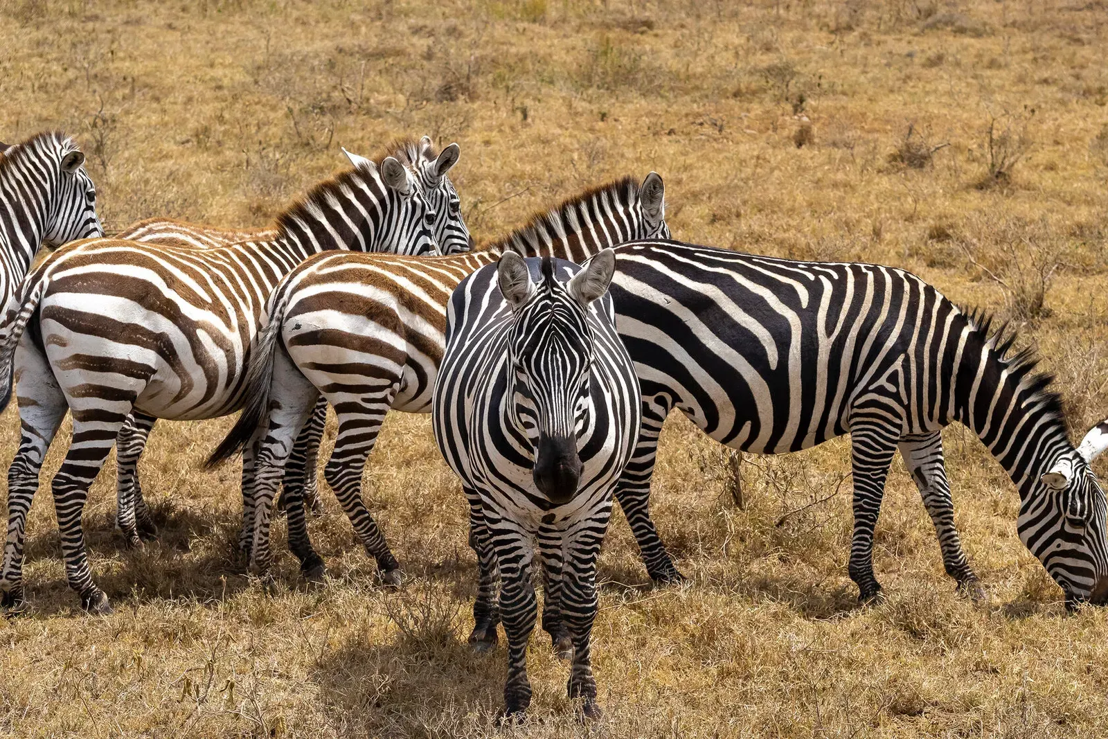 Кения, январь 2022