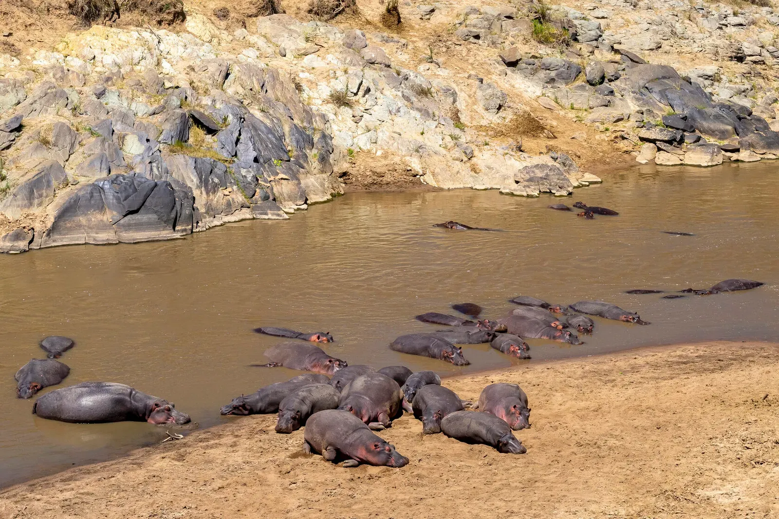 Кения, январь 2022