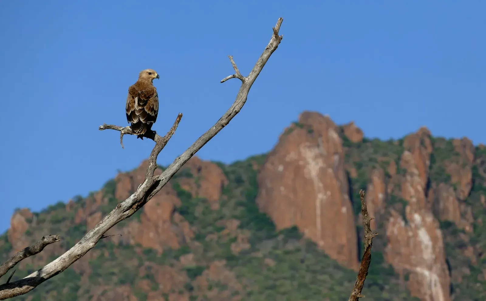 Кения, январь 2022