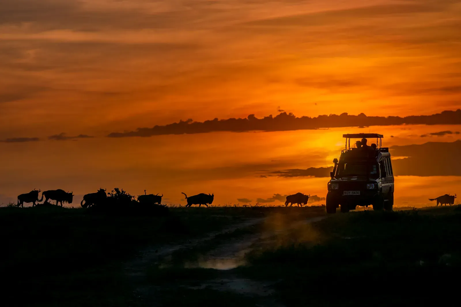 Кения, январь 2022