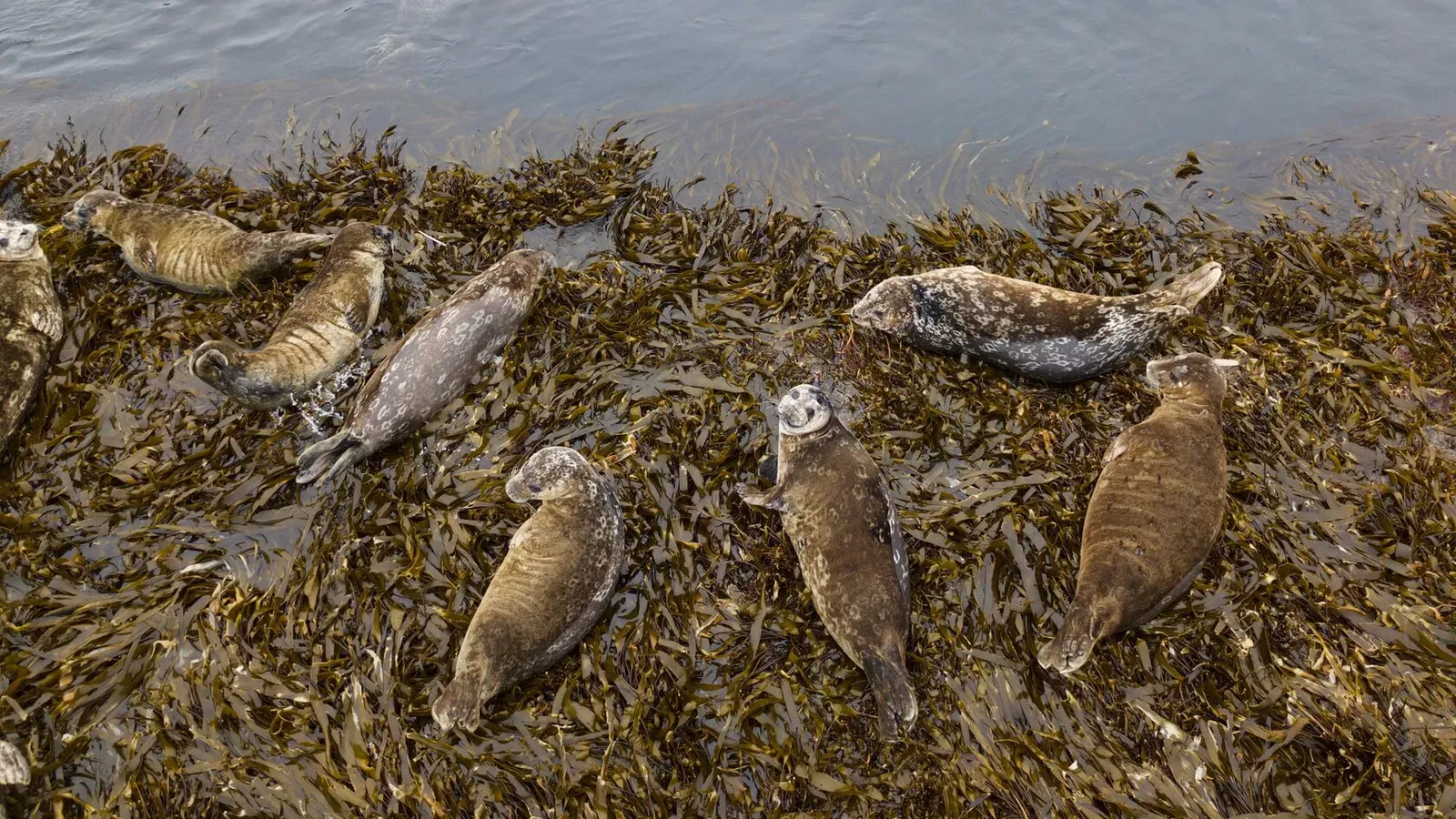 Курильские острова, июль 2022