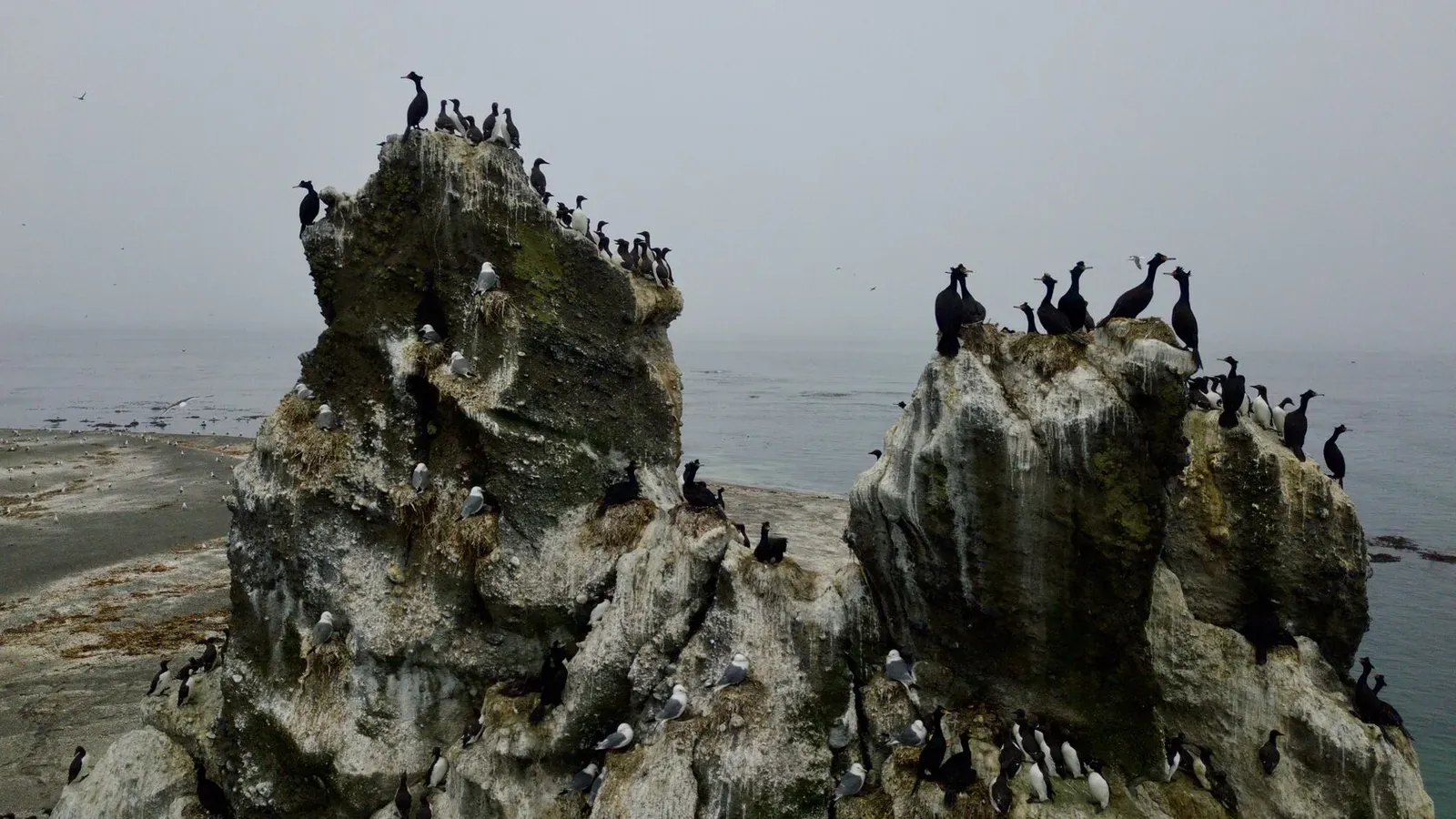 Курильские острова, июль 2022