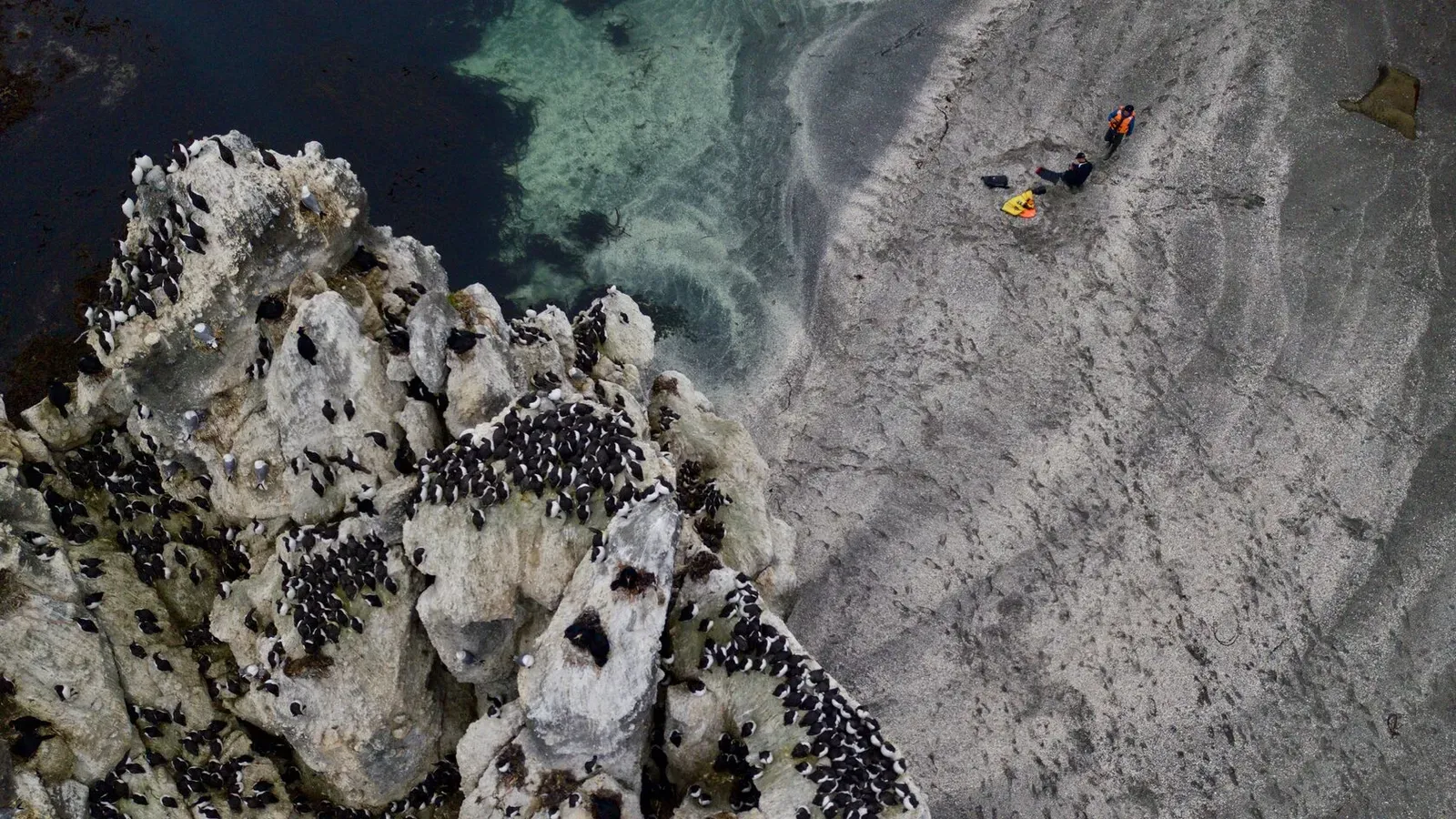 Курильские острова, июль 2022