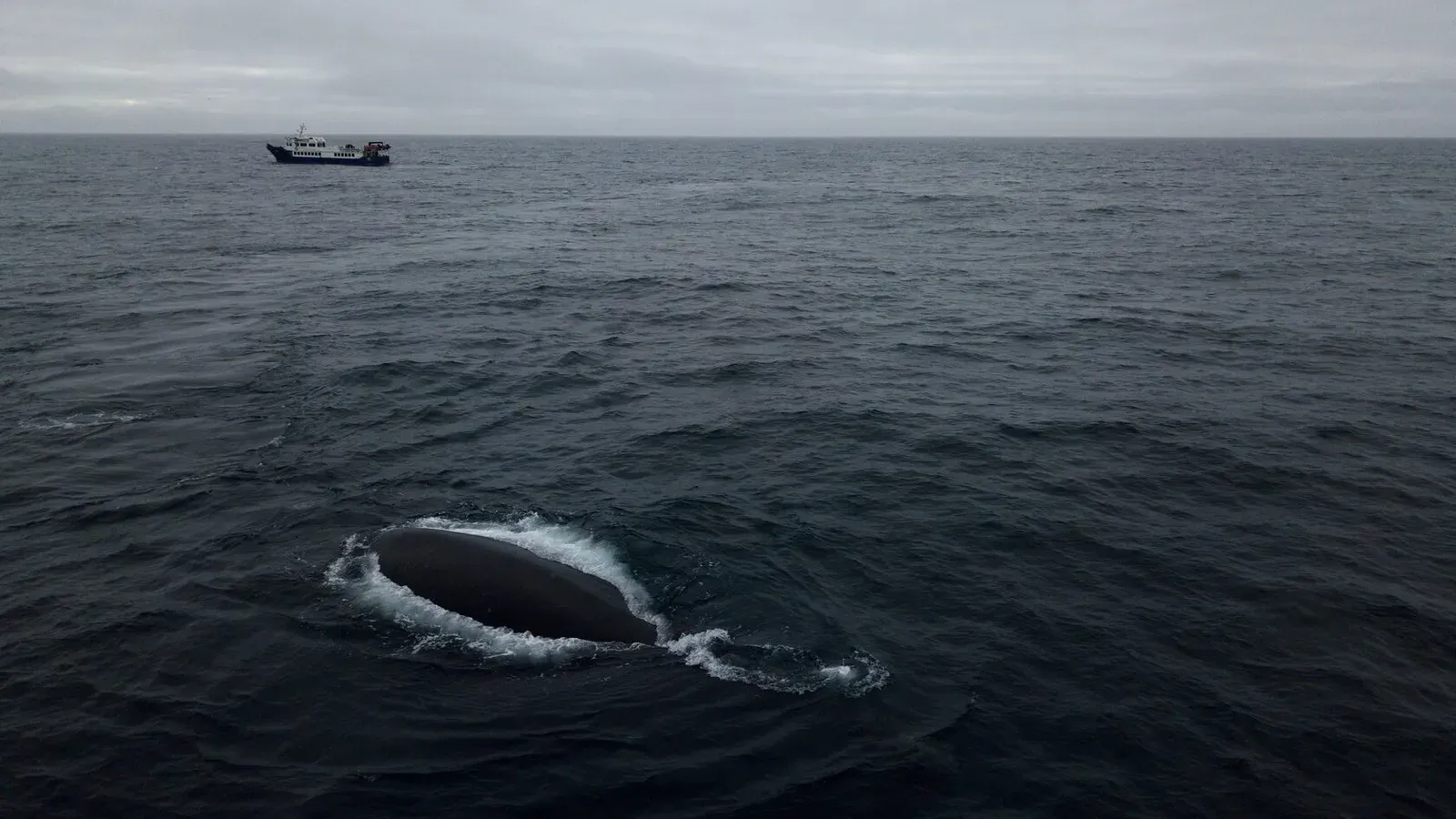 Курильские острова, июль 2022