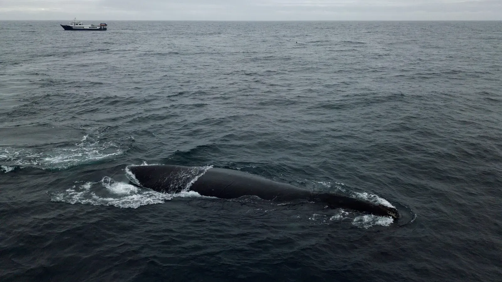 Курильские острова, июль 2022