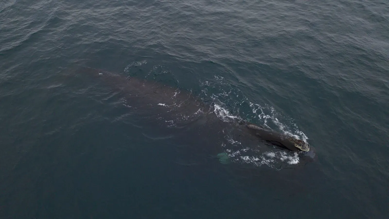 Курильские острова, июль 2022